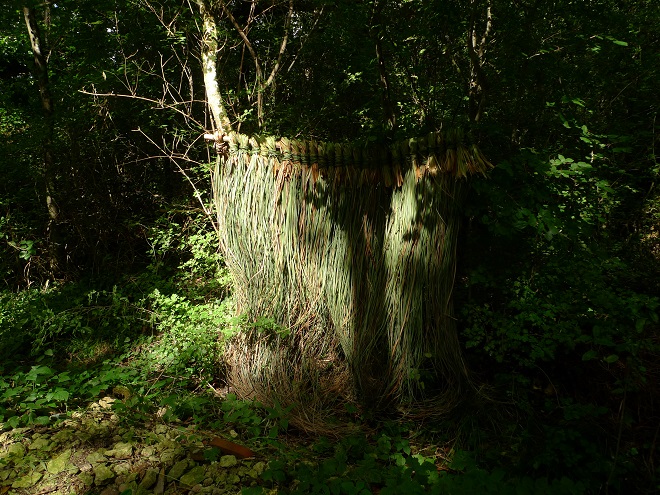 Panneau de rouche tressée (photo E. Champion) Panneau de rouche tressée